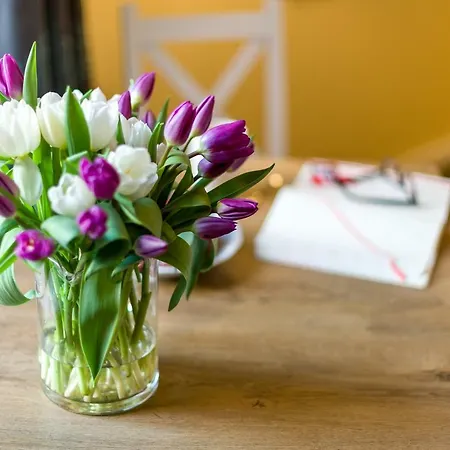 Cichy Zakatek Przy Starym Rynku アパート *