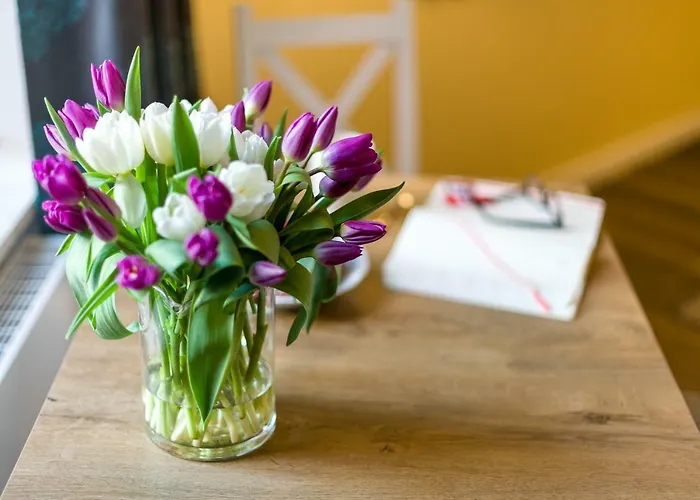 Cichy Zakatek Przy Starym Rynku Daire *